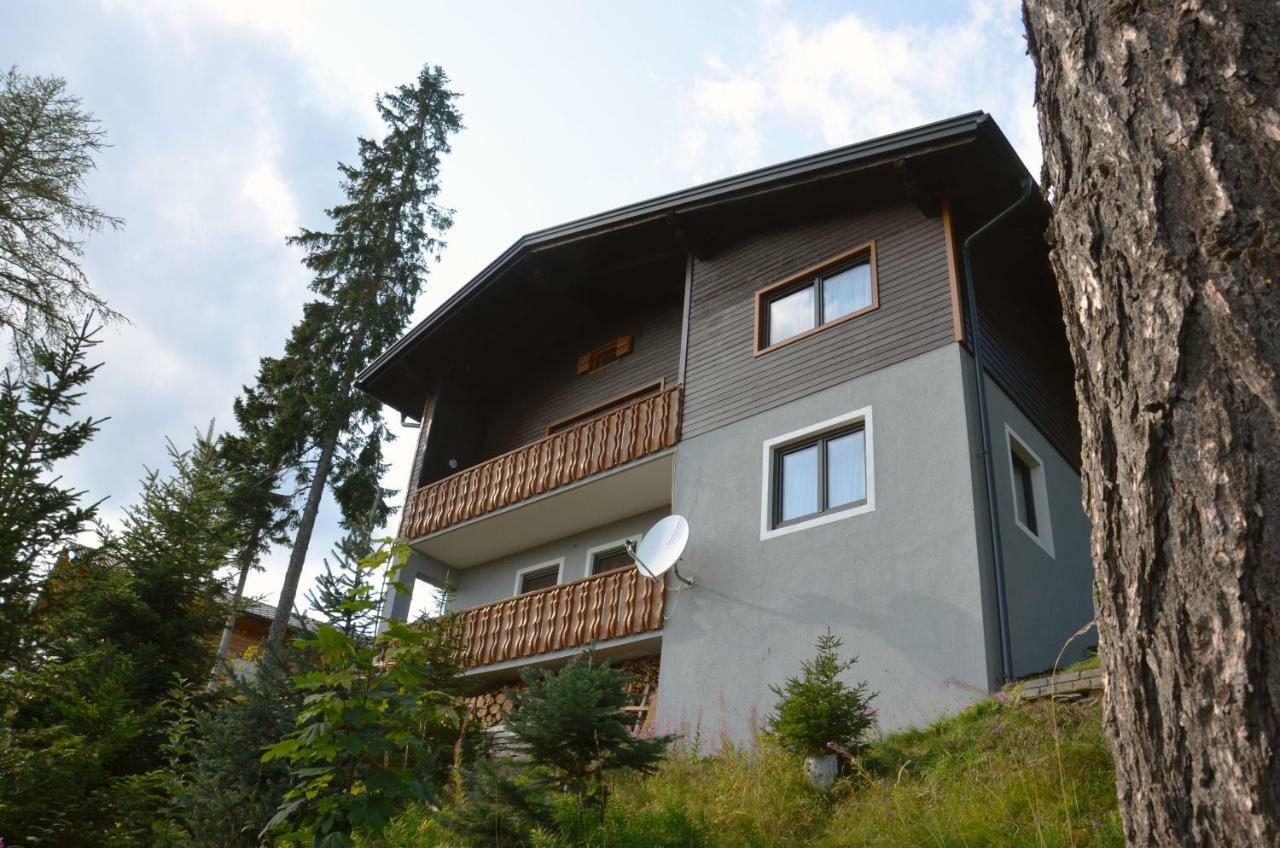 Apartamento Ferienhaus Bergfee Klippitztorl Exterior foto