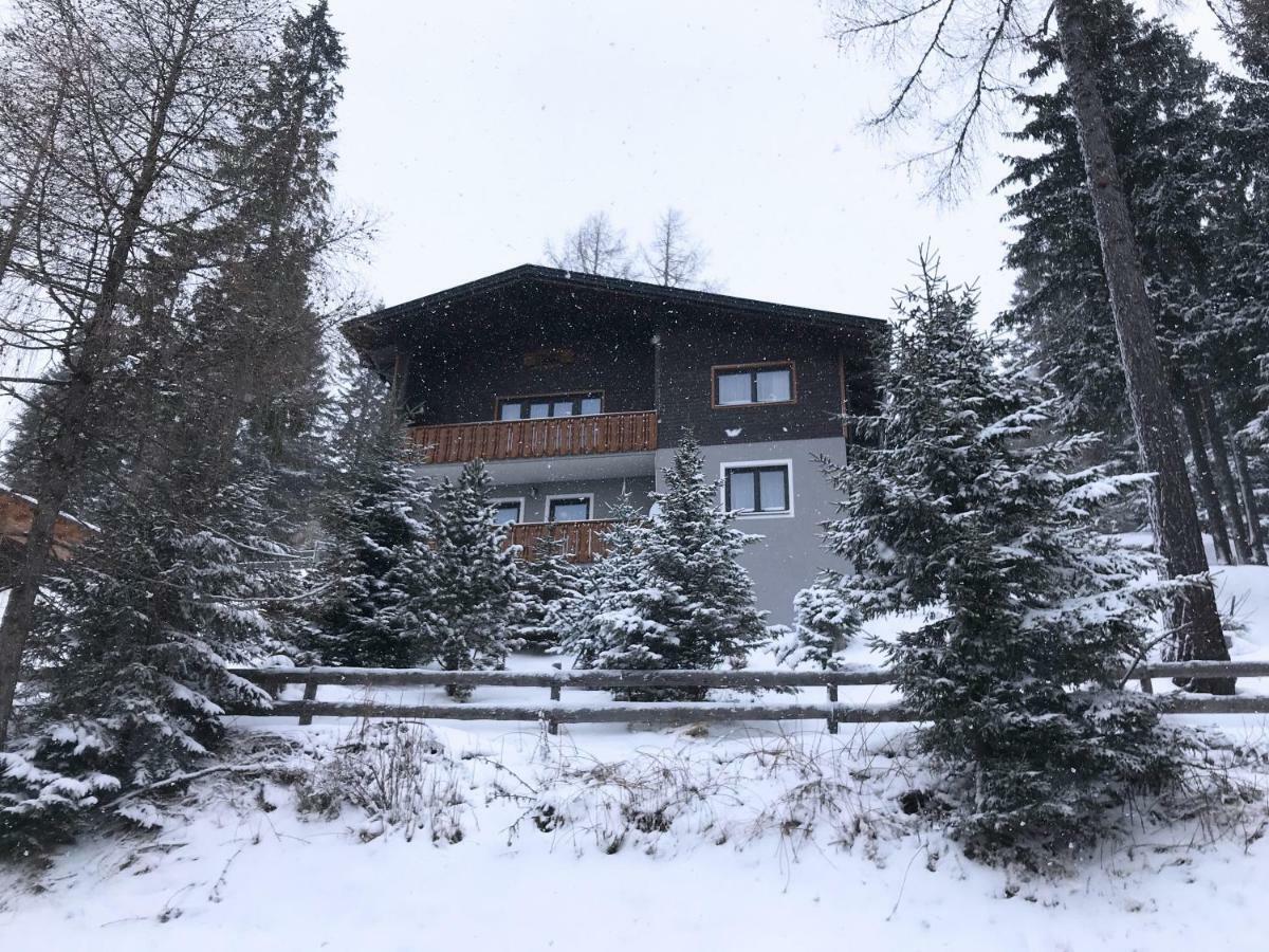 Apartamento Ferienhaus Bergfee Klippitztorl Exterior foto